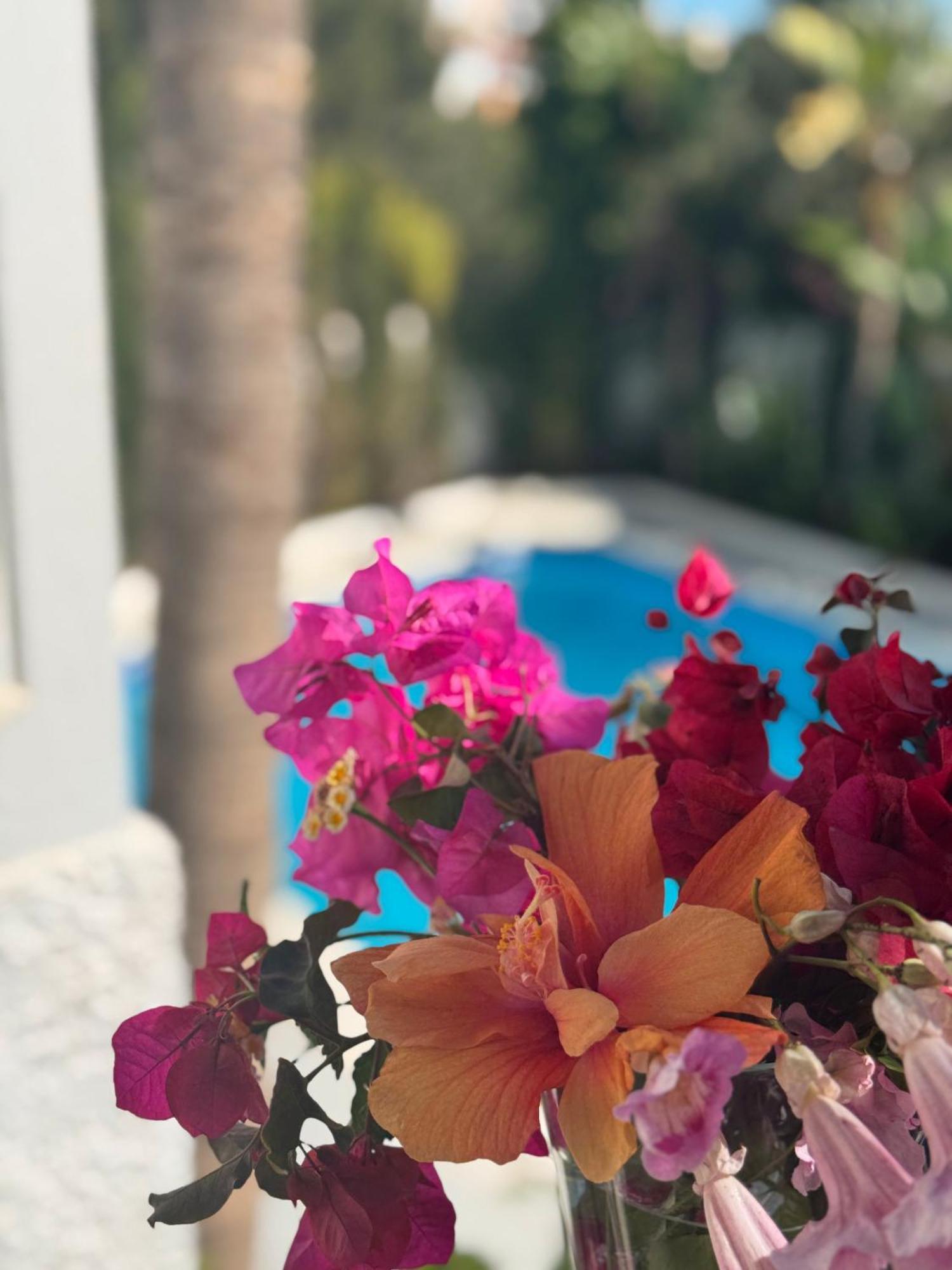 Villa Nerja Zewnętrze zdjęcie